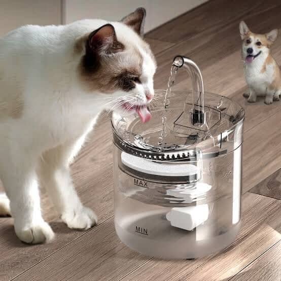 FUENTE PARA MASCOTAS CON SENSOR - ISDU