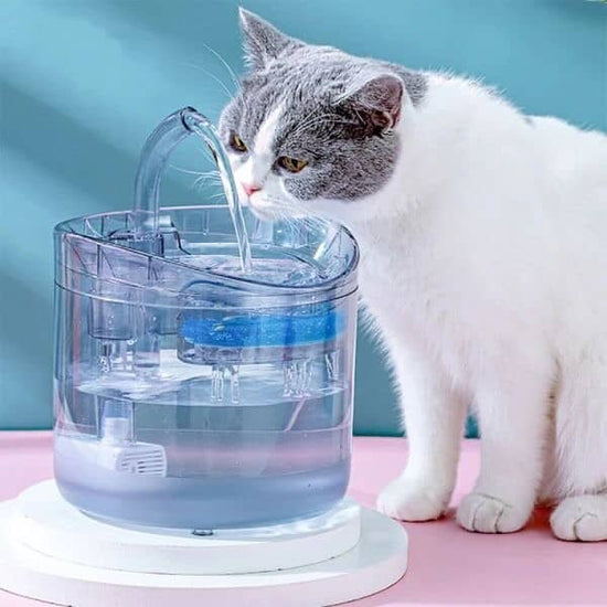 FUENTE PARA MASCOTAS CON SENSOR - ISDU